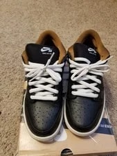 Nike Dunk SB Qs Low Rain 4