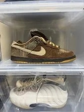 10.0US Nike Sb Dunk Low Pro 2