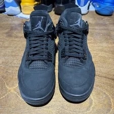 Size 8.5 - Air Jordan 4 Retro 2025 Cat 2