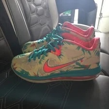 Size 11 - Nike LeBron 9 Low LeBronold Palmer No Box 3
