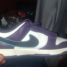 Nike Dunk Low Top Athletic Basketball 2