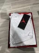 Size 10.5 - Air Jordan 3 Retro OG 2024 4