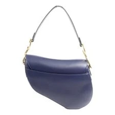 Christian Dior CD GHW Saddle 2