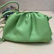 Bottega Veneta Mini the Pouch Auth 2