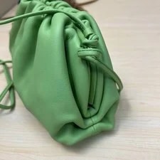 Bottega Veneta Mini the Pouch Auth 4