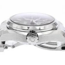Omega Seamaster Aqua Terra 231.10.30.20.06.001 30mm SS Gray #C6990 3