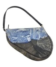 Christian Dior Saddle BO B 0071 2