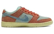 [DV5429-800] -- Nike Sb Dunk Low Rise 2