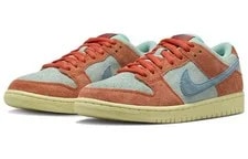[DV5429-800] -- Nike Sb Dunk Low Rise 3