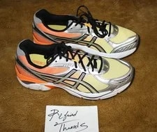 Asics GT 2160 Sun / Shoes FL 1203A783-700 Sz 11 New! 4
