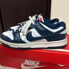 9.0US Nike Dunk Low Retro 2