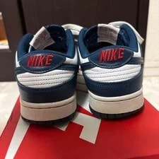 9.0US Nike Dunk Low Retro 3