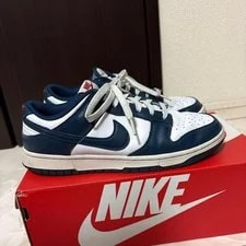 9.0US Nike Dunk Low Retro 4