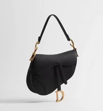Dior — Dior Saddle Interior Mini — Handbag — resale