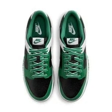 Nike Dunk LOW Retro IV2706-011 /Clover- Retro Casual NEW 3