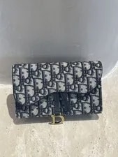 Chirstian Dior Saddle 2