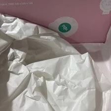 Jordan 1 Retro Low OG SP Shy IQ7604-100 4