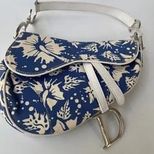 Christine Dior Surf Chic Saddle 3