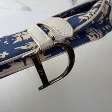 Christine Dior Surf Chic Saddle 4
