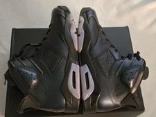 Size 11 - Air Jordan 6 Retro All Star - Chameleon 3