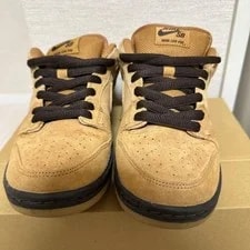 7.0US Nike Sb Dunk Low Pro 2