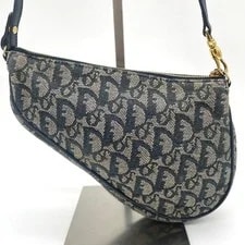 Christian Dior Saddle Trotter 2