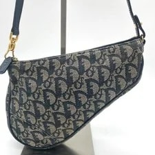 Christian Dior Saddle Trotter 4