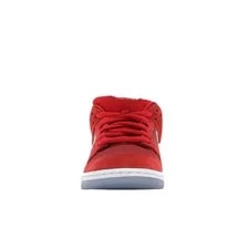 Size 8 Nike SB Dunk Low Challenge 2