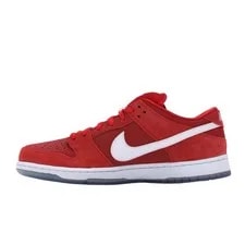 Size 8 Nike SB Dunk Low Challenge 3