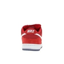 Size 8 Nike SB Dunk Low Challenge 4