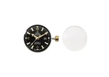 Omega Seamaster Professional 600M Automatic Black Dial Cal 8521 2