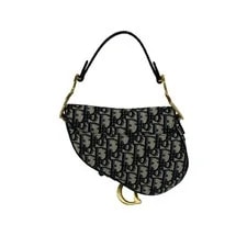 Christian Dior Saddle 2way Shoul 4