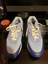 Nike Air Max 1 Essential 'Psychic ' Shoes 2