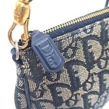 Christian Dior Saddle Trotter From Japan 3