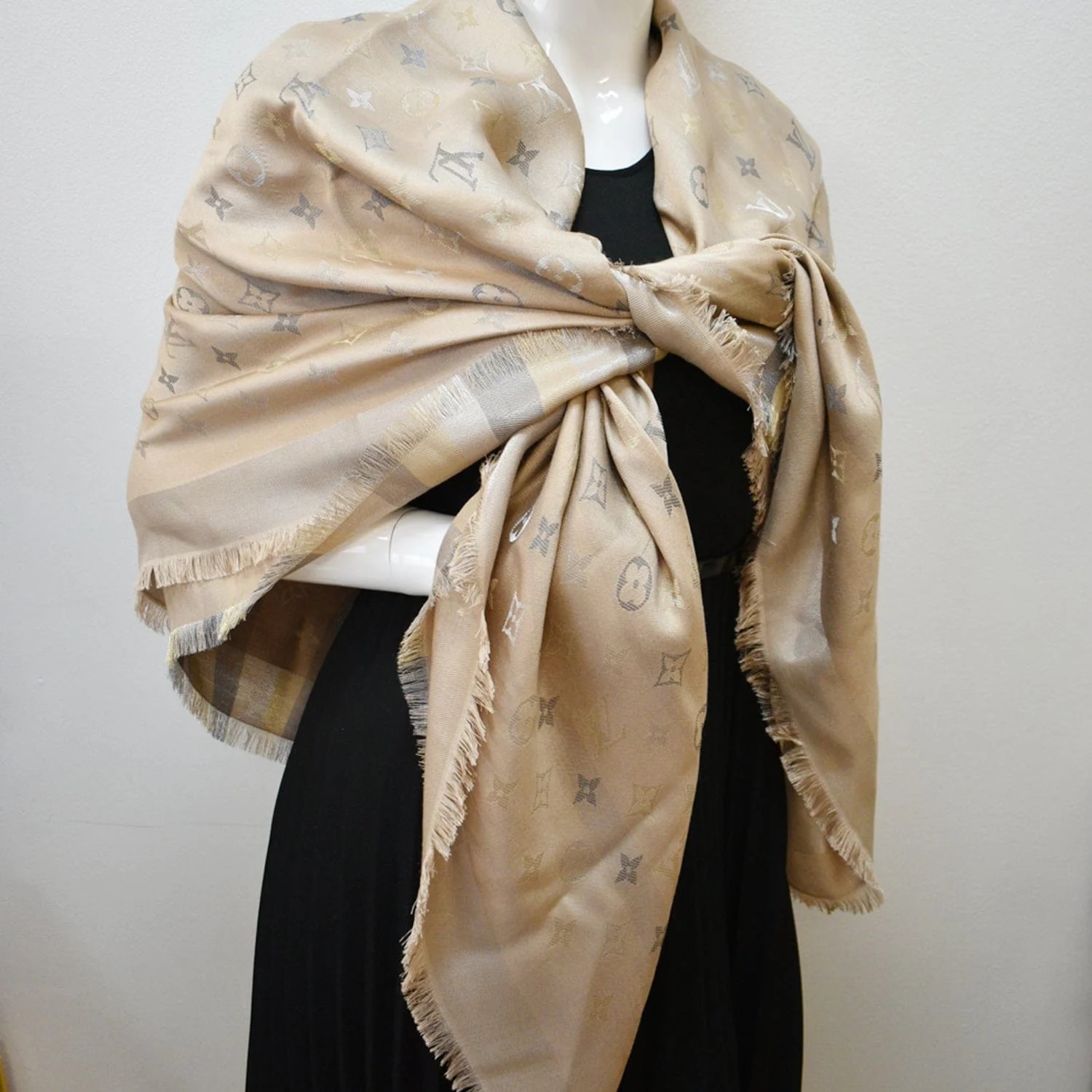 Louis Vuitton Scarf/Shawl 2