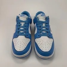 Nike Dunk Low DD1391-102 Size 11 4