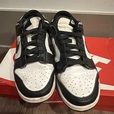 Nike Dunk Low Retro -100 4
