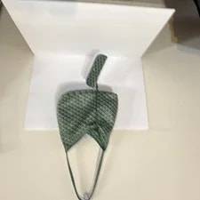Goyard With Matching 2