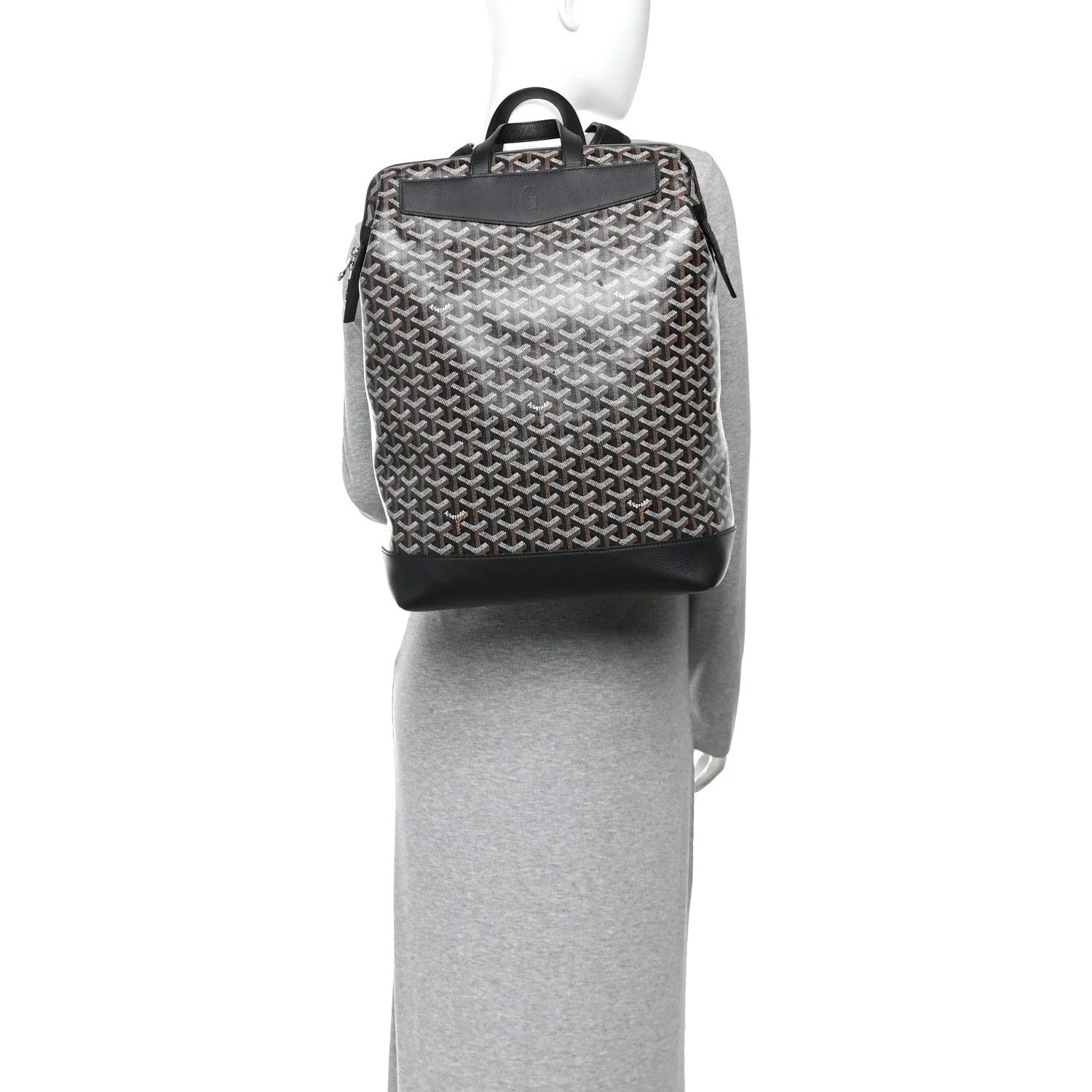 Cisalpin Backpack 2