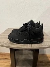 Size 9.5 - Air Jordan 4 Retro 2025 Cat 3
