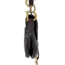 Christian Dior Saddle One 4