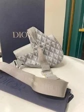 Dior Saddle CD Crossbody 2