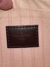 Louis Vuitton Light Pochette Neverfull Ballerine Wristlet 3