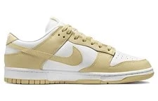 Nike Dunk Low Team -100 2
