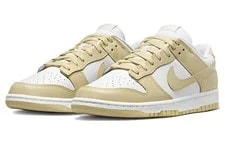 Nike Dunk Low Team -100 3