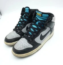 Nike SB Dunk High Washington Shoes 317982-047 2