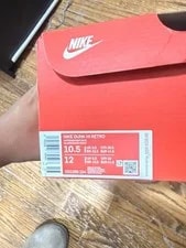 Nike Dunk High Chill 2