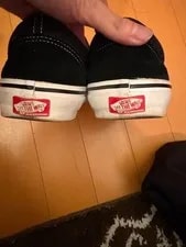 9.5US Vans Pop Cush Skate Authentic LTD Collection Sp 4