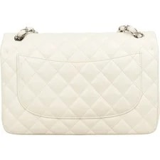 Chanel Medium Classic Single Flap Crossbody 4