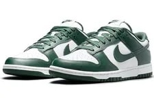 Nike Dunk Low DD1391-101 New 3